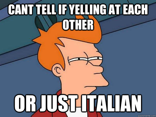 cant tell if yelling at each other Or just italian  Futurama Fry