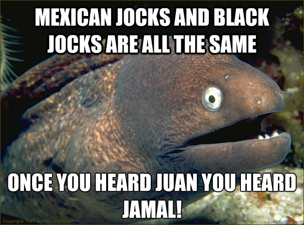 mexican jocks and black jocks are all the same  once you heard juan you heard jamal!  Bad Joke Eel