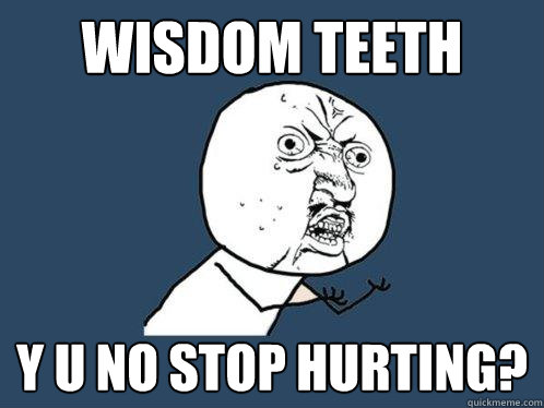 wisdom teeth y u no stop hurting?  Y U No