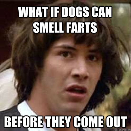 What if dogs can smell farts before they come out  conspiracy keanu