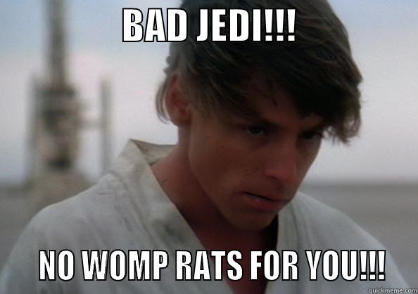                  BAD JEDI!!!                     NO WOMP RATS FOR YOU!!!  Misc