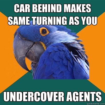 CAR BEHIND MAKES SAME TURNING AS YOU UNDERCOVER AGENTS  Paranoid Parrot