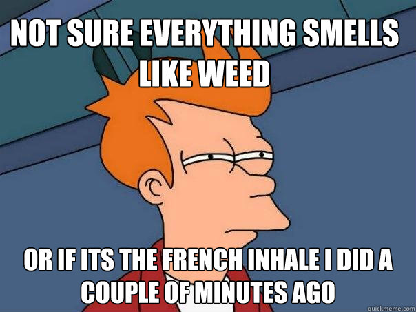 Not sure everything smells like weed Or if its the french inhale i did a couple of minutes ago  Futurama Fry