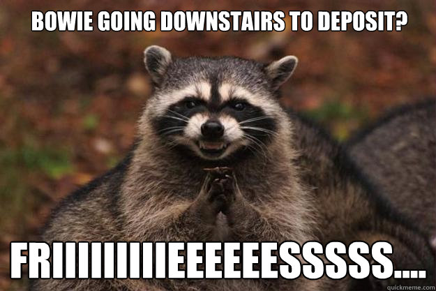 Bowie going downstairs to deposit? friiiiiiiiieeeeeesssss....  Evil Plotting Raccoon