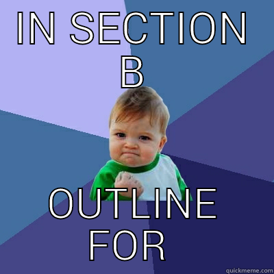 IN SECTION B OUTLINE FOR EVERYTHING Success Kid