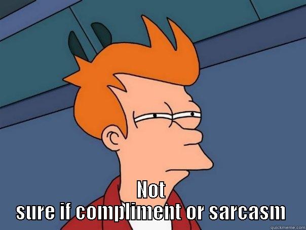  NOT SURE IF COMPLIMENT OR SARCASM Futurama Fry