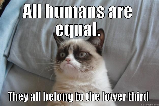 Grumpy Thoughts - ALL HUMANS ARE EQUAL. THEY ALL BELONG TO THE LOWER THIRD Grumpy Cat