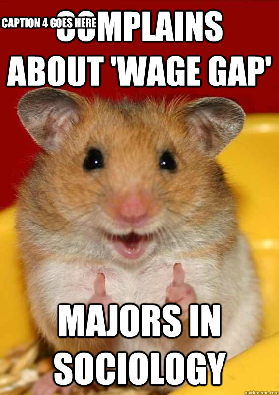 complains about 'wage gap' MAjors in Sociology  Caption 4 goes here  Rationalization Hamster