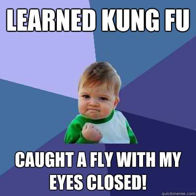 learned kung fu caught a fly with my eyes closed!  Success Kid