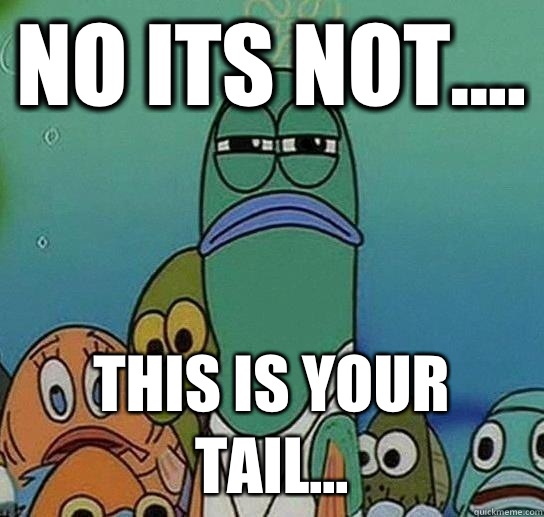 No its not.... This is your tail...  Serious fish SpongeBob