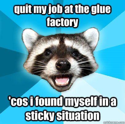 quit my job at the glue factory 'cos i found myself in a sticky situation  - quit my job at the glue factory 'cos i found myself in a sticky situation   Lame Pun Coon