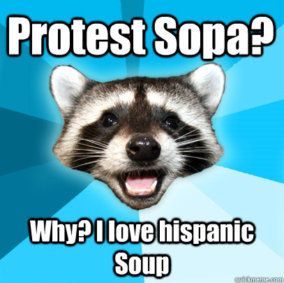 Protest Sopa? Why? I love hispanic Soup  Lame Pun Coon