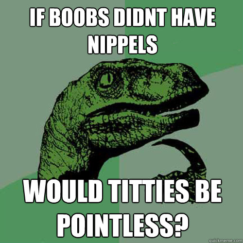 If boobs didnt have nippels would titties be pointless? - If boobs didnt have nippels would titties be pointless?  Philosoraptor