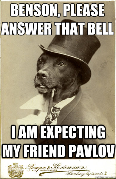 benson, please answer that bell
 i am expecting my friend pavlov - benson, please answer that bell
 i am expecting my friend pavlov  Old Money Dog