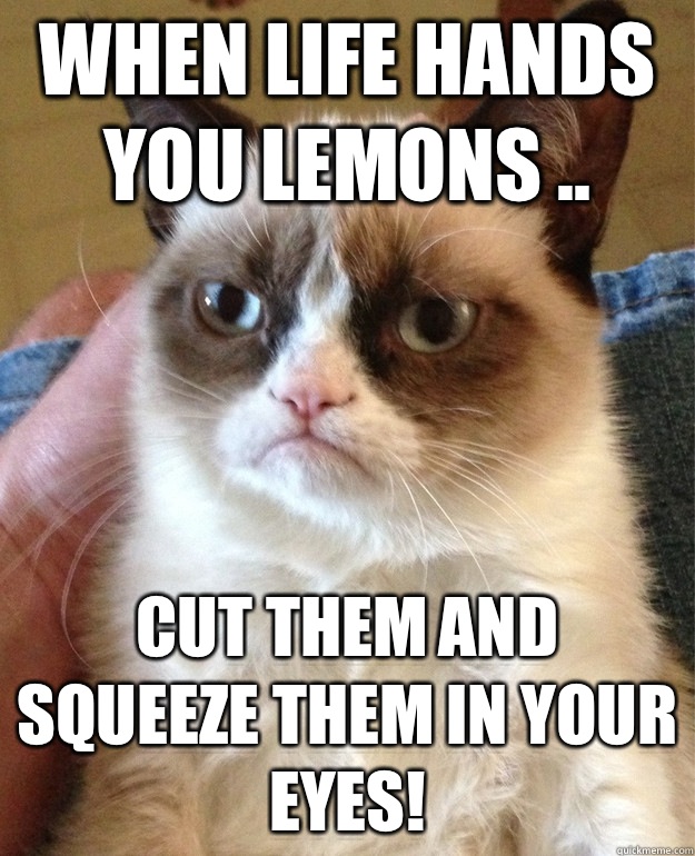 When life hands you lemons .. Cut them and squeeze them in your EYES!  Grumpy Cat