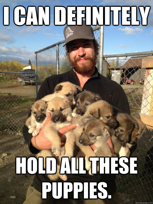 I can definitely hold all these puppies.  Ridiculously Photogenic Sled Master