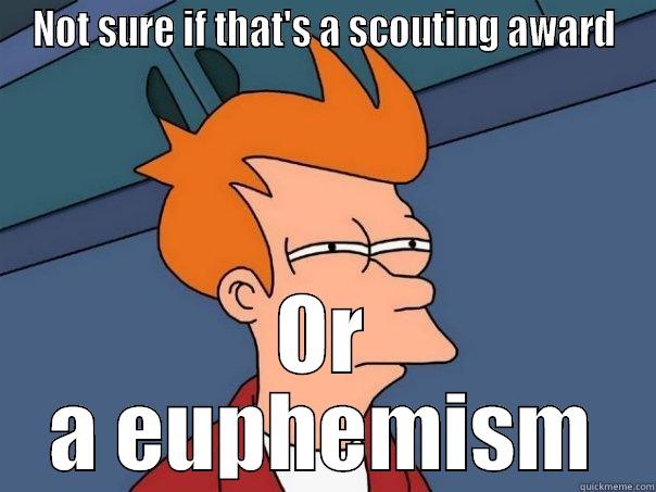 NOT SURE IF THAT'S A SCOUTING AWARD OR A EUPHEMISM Futurama Fry