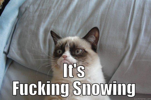  IT'S FUCKING SNOWING Grumpy Cat