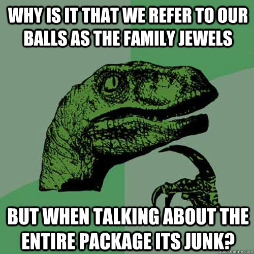 Why is it that we refer to our balls as the family jewels but when talking about the entire package its junk?  Philosoraptor