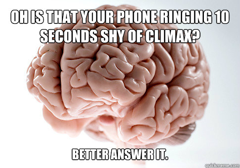 Oh is that your phone ringing 10 seconds shy of climax? Better answer it.  - Oh is that your phone ringing 10 seconds shy of climax? Better answer it.   Scumbag Brain