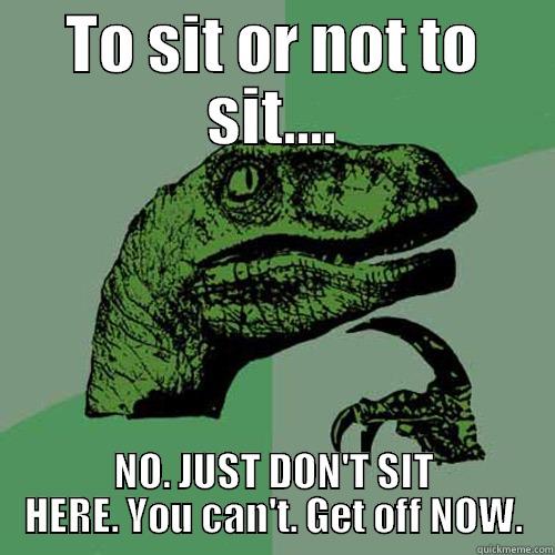 should you sit? - TO SIT OR NOT TO SIT.... NO. JUST DON'T SIT HERE. YOU CAN'T. GET OFF NOW. Philosoraptor