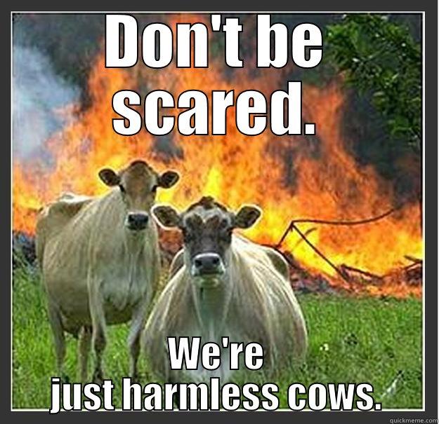 DON'T BE SCARED. WE'RE JUST HARMLESS COWS. Evil cows