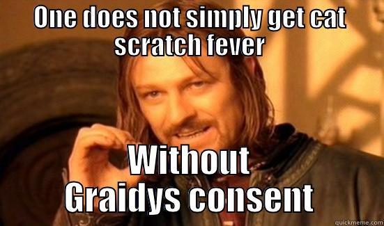  cat scratch fever  - ONE DOES NOT SIMPLY GET CAT SCRATCH FEVER WITHOUT GRAIDYS CONSENT Boromir