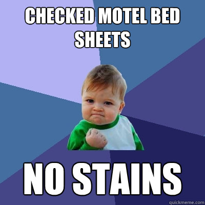 checked motel bed sheets no stains - checked motel bed sheets no stains  Success Kid