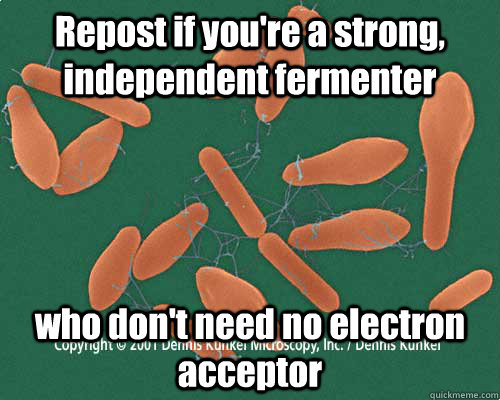 Repost if you're a strong, independent fermenter who don't need no electron acceptor - Repost if you're a strong, independent fermenter who don't need no electron acceptor  Misc