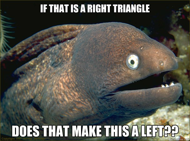 if that is a right triangle does that make this a left?? - if that is a right triangle does that make this a left??  Bad Joke Eel