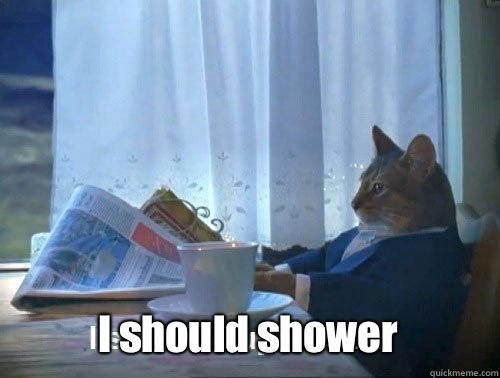 I should shower  Fancy Cat