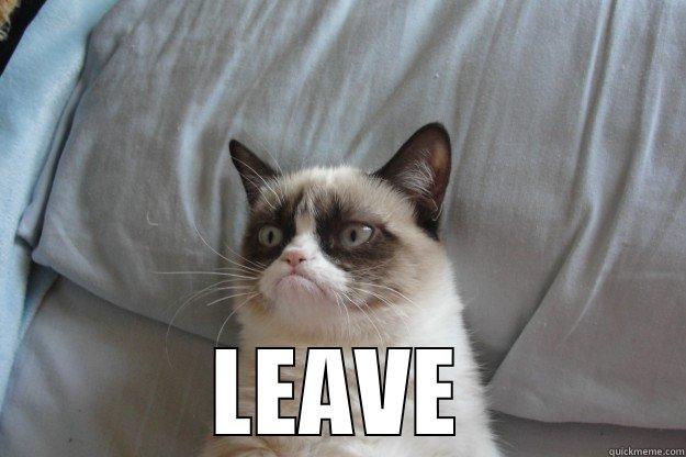   -   LEAVE Grumpy Cat