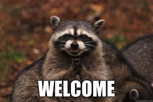  Welcome  Evil Plotting Raccoon