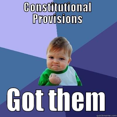 Civil Rights - CONSTITUTIONAL PROVISIONS GOT THEM Success Kid