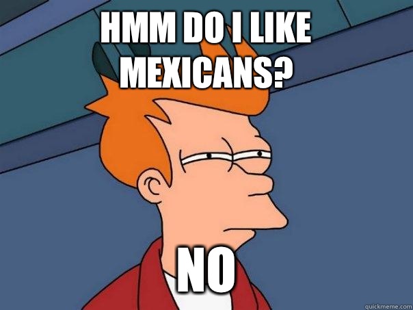 Hmm do i like mexicans? No   Futurama Fry