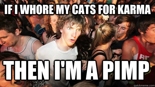 If I whore my cats for karma then i'm a pimp  Sudden Clarity Clarence