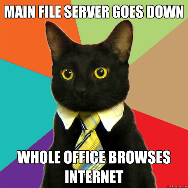 main file server goes down  whole office browses internet  Business Cat