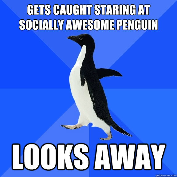 gets caught staring at socially awesome penguin looks away  - gets caught staring at socially awesome penguin looks away   Socially Awkward Penguin