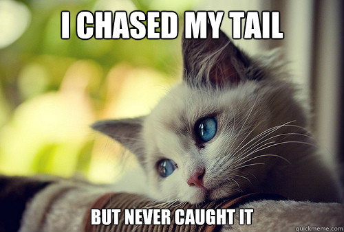 I chased my tail but never caught it - I chased my tail but never caught it  First World Cat Problems