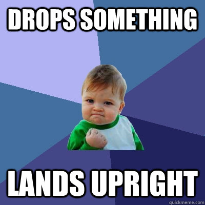 Drops something lands upright    - Drops something lands upright     Success Kid