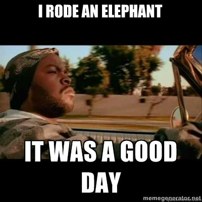 I rode an elephant - I rode an elephant  ICECUBE