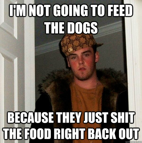 I'm not going to feed the dogs Because they just shit the food right back out - I'm not going to feed the dogs Because they just shit the food right back out  Scumbag Steve