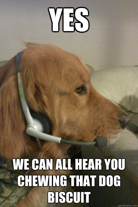 yes we can all hear you chewing that dog biscuit  Xbox Live Dog