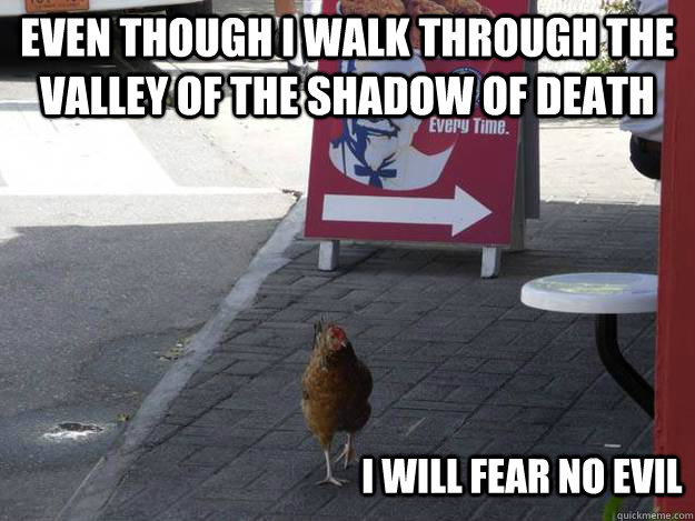 Even though I walk through the valley of the shadow of death I will fear no evil  - Even though I walk through the valley of the shadow of death I will fear no evil   Best Picture of Psalm 234