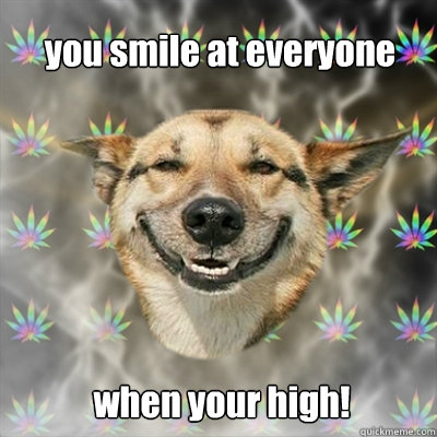 you smile at everyone   when your high!  Stoner Dog