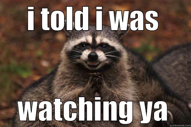 I TOLD I WAS WATCHING YA Evil Plotting Raccoon