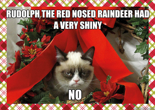 Rudolph the red nosed raindeer had a very shiny  No  