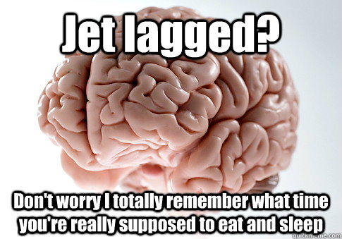 Jet lagged? Don't worry I totally remember what time you're really supposed to eat and sleep  - Jet lagged? Don't worry I totally remember what time you're really supposed to eat and sleep   Scumbag Brain