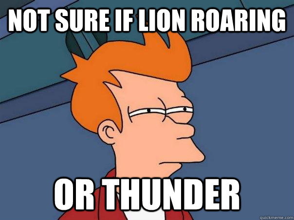 Not sure if lion roaring Or thunder - Not sure if lion roaring Or thunder  Futurama Fry