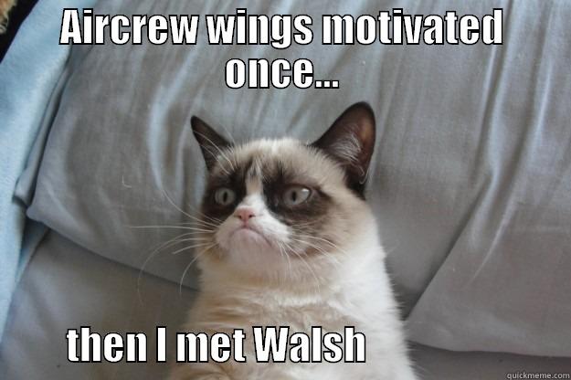 AIRCREW WINGS MOTIVATED ONCE...           THEN I MET WALSH                            Grumpy Cat